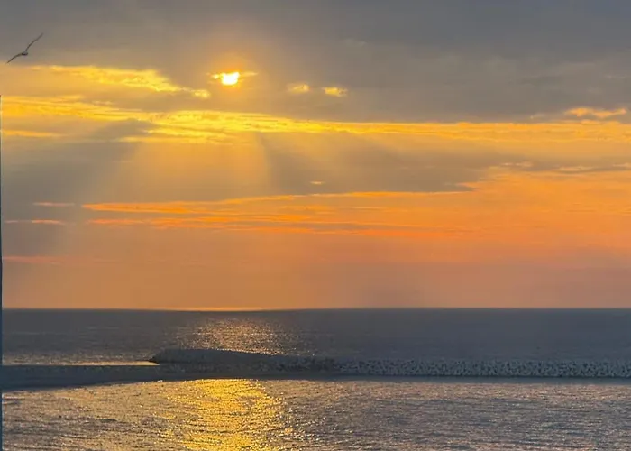 Hotel Hotel Venus 3*